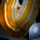 Natural Brazilian Agate "Butterfly Wings", 9.1" Tall #5050NA-133 - Brazil GemsBrazil GemsNatural Brazilian Agate "Butterfly Wings", 9.1" Tall #5050NA-133Agate Butterfly Wings5050NA-133