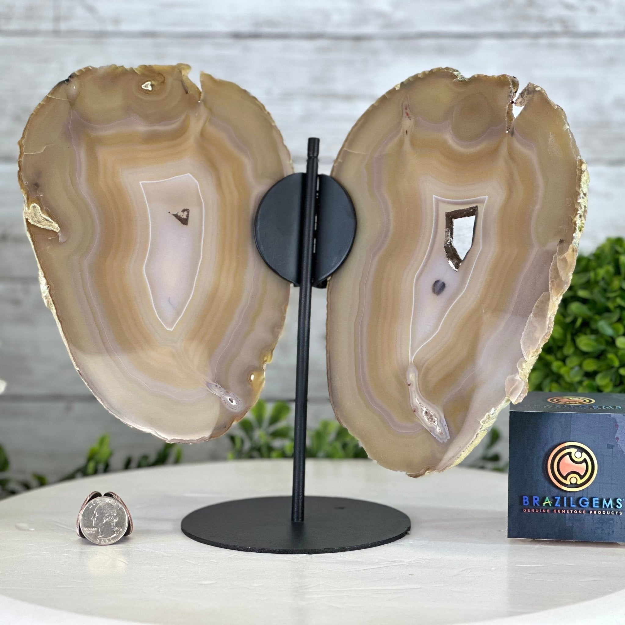 Natural Brazilian Agate "Butterfly Wings", 9.1" Tall #5050NA-133 - Brazil GemsBrazil GemsNatural Brazilian Agate "Butterfly Wings", 9.1" Tall #5050NA-133Agate Butterfly Wings5050NA-133