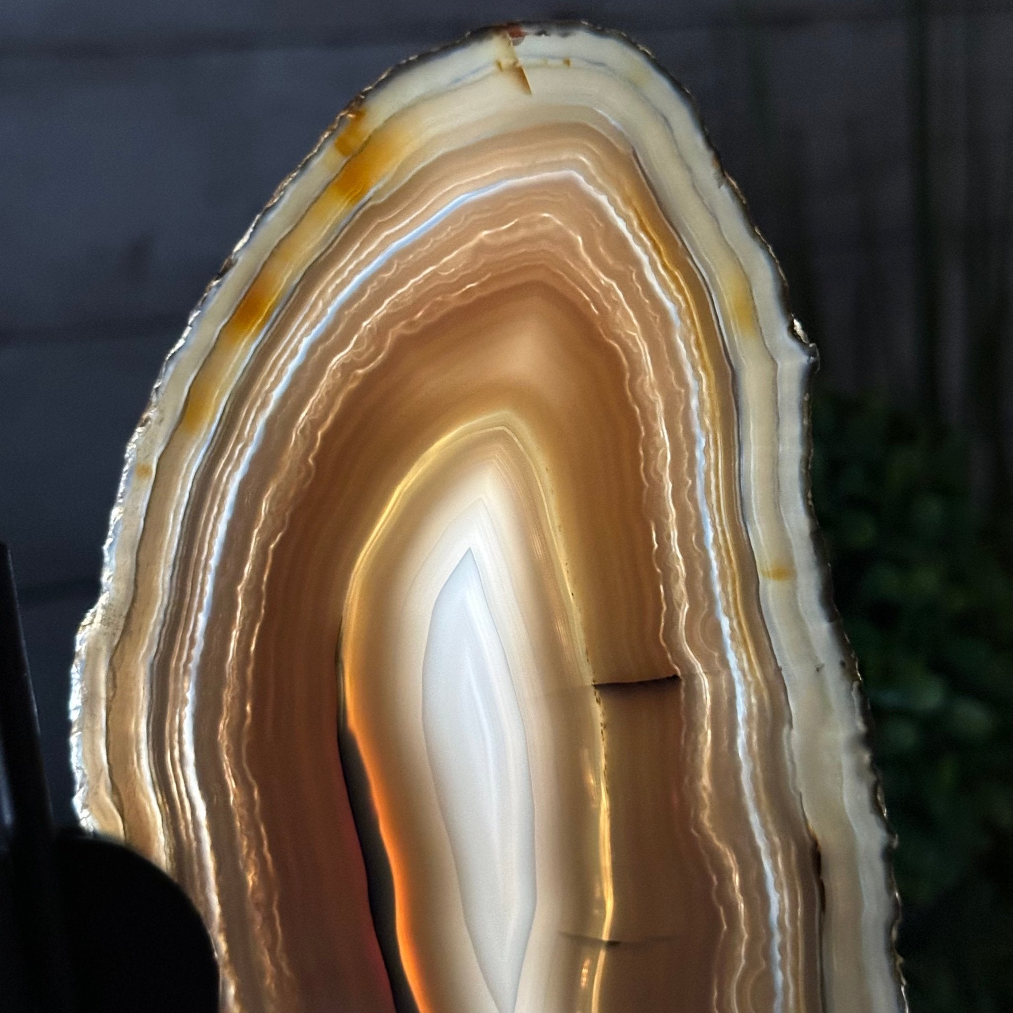 Natural Brazilian Agate "Butterfly Wings", 9.2" Tall #5050NA-106 - Brazil GemsBrazil GemsNatural Brazilian Agate "Butterfly Wings", 9.2" Tall #5050NA-106Agate Butterfly Wings5050NA-106