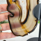 Natural Brazilian Agate "Butterfly Wings", 9.2" Tall #5050NA-151 - Brazil GemsBrazil GemsNatural Brazilian Agate "Butterfly Wings", 9.2" Tall #5050NA-151Agate Butterfly Wings5050NA-151