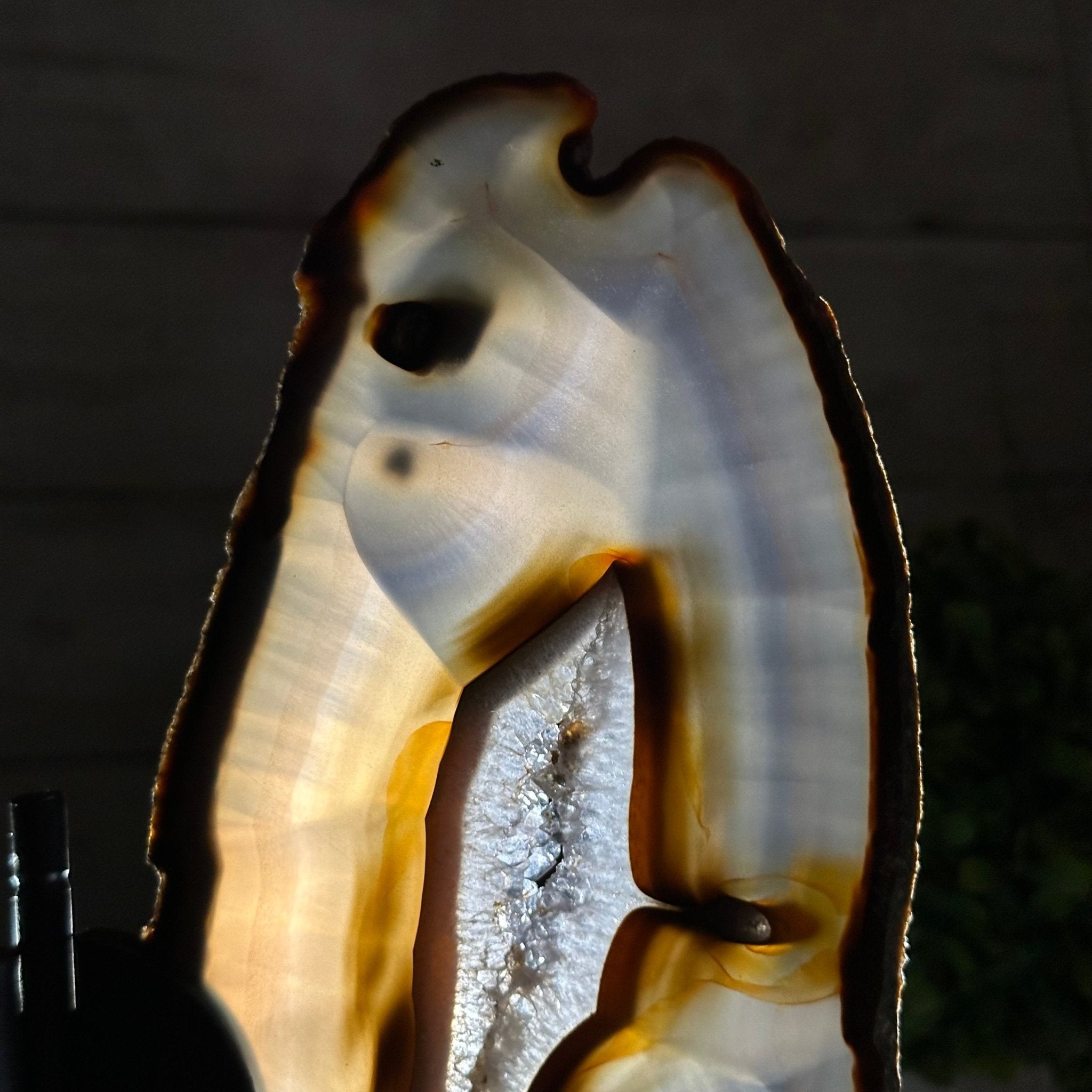 Natural Brazilian Agate "Butterfly Wings", 9.2" Tall #5050NA-151 - Brazil GemsBrazil GemsNatural Brazilian Agate "Butterfly Wings", 9.2" Tall #5050NA-151Agate Butterfly Wings5050NA-151