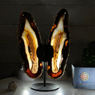 Natural Brazilian Agate "Butterfly Wings", 9.5" Tall #5050NA-148 - Brazil GemsBrazil GemsNatural Brazilian Agate "Butterfly Wings", 9.5" Tall #5050NA-148Agate Butterfly Wings5050NA-148