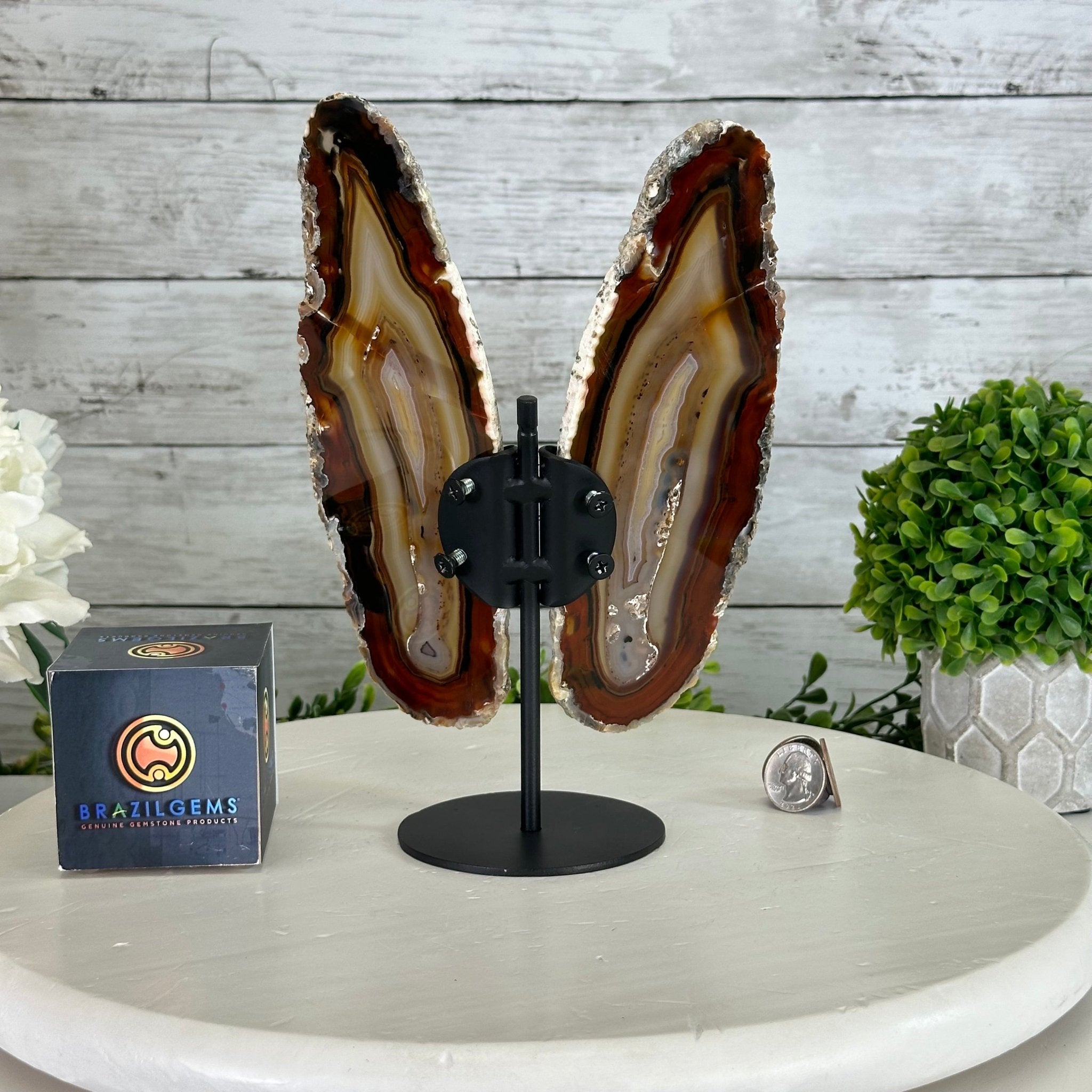 Natural Brazilian Agate "Butterfly Wings", 9.5" Tall #5050NA-148 - Brazil GemsBrazil GemsNatural Brazilian Agate "Butterfly Wings", 9.5" Tall #5050NA-148Agate Butterfly Wings5050NA-148