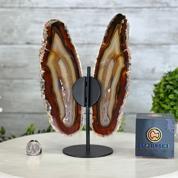 Agate Butterfly Wings