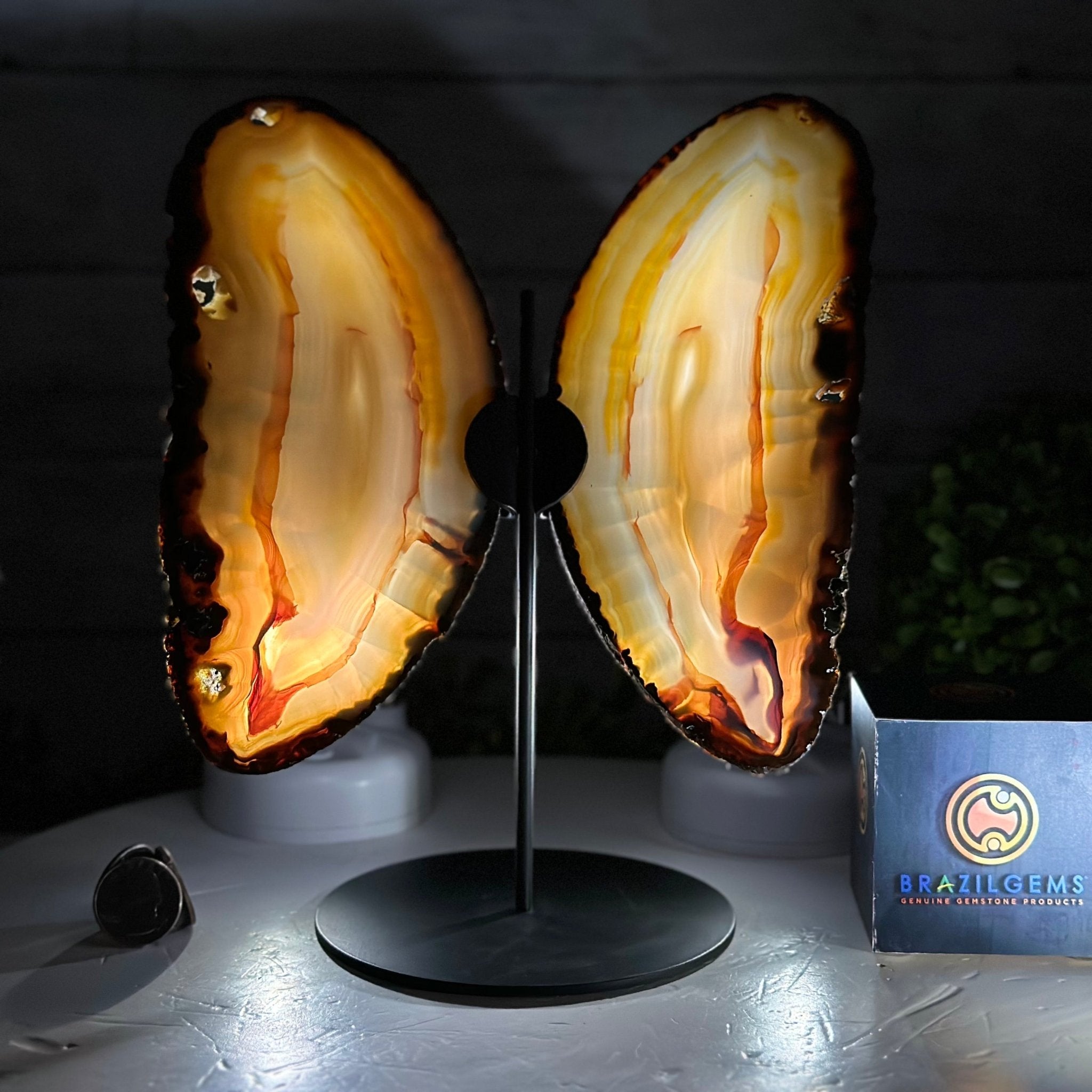 Natural Brazilian Agate "Butterfly Wings", 9.6" Tall #5050NA-105 - Brazil GemsBrazil GemsNatural Brazilian Agate "Butterfly Wings", 9.6" Tall #5050NA-105Agate Butterfly Wings5050NA-105