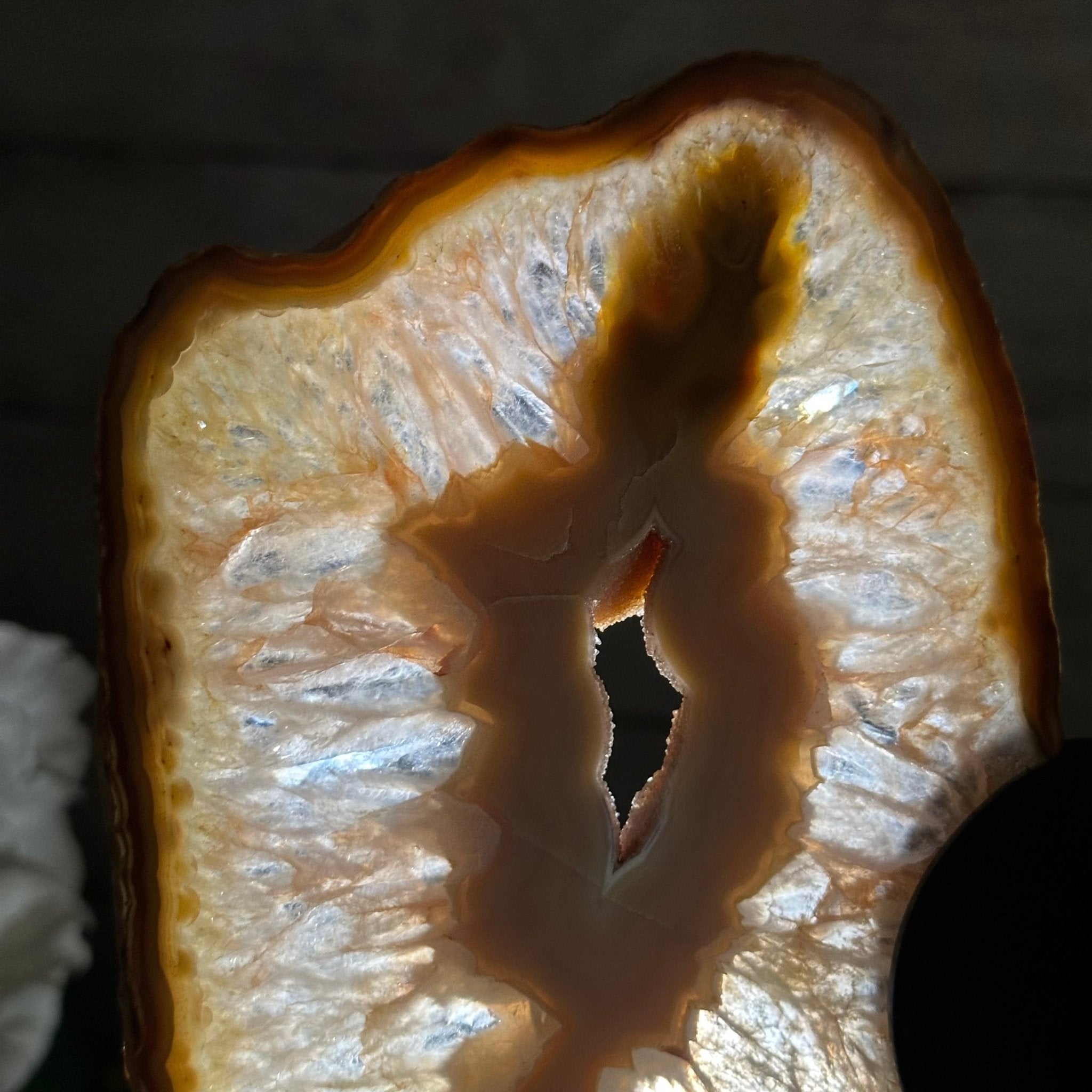 Natural Brazilian Agate "Butterfly Wings", 9.9" Tall #5050NA-116 - Brazil GemsBrazil GemsNatural Brazilian Agate "Butterfly Wings", 9.9" Tall #5050NA-116Agate Butterfly Wings5050NA-116