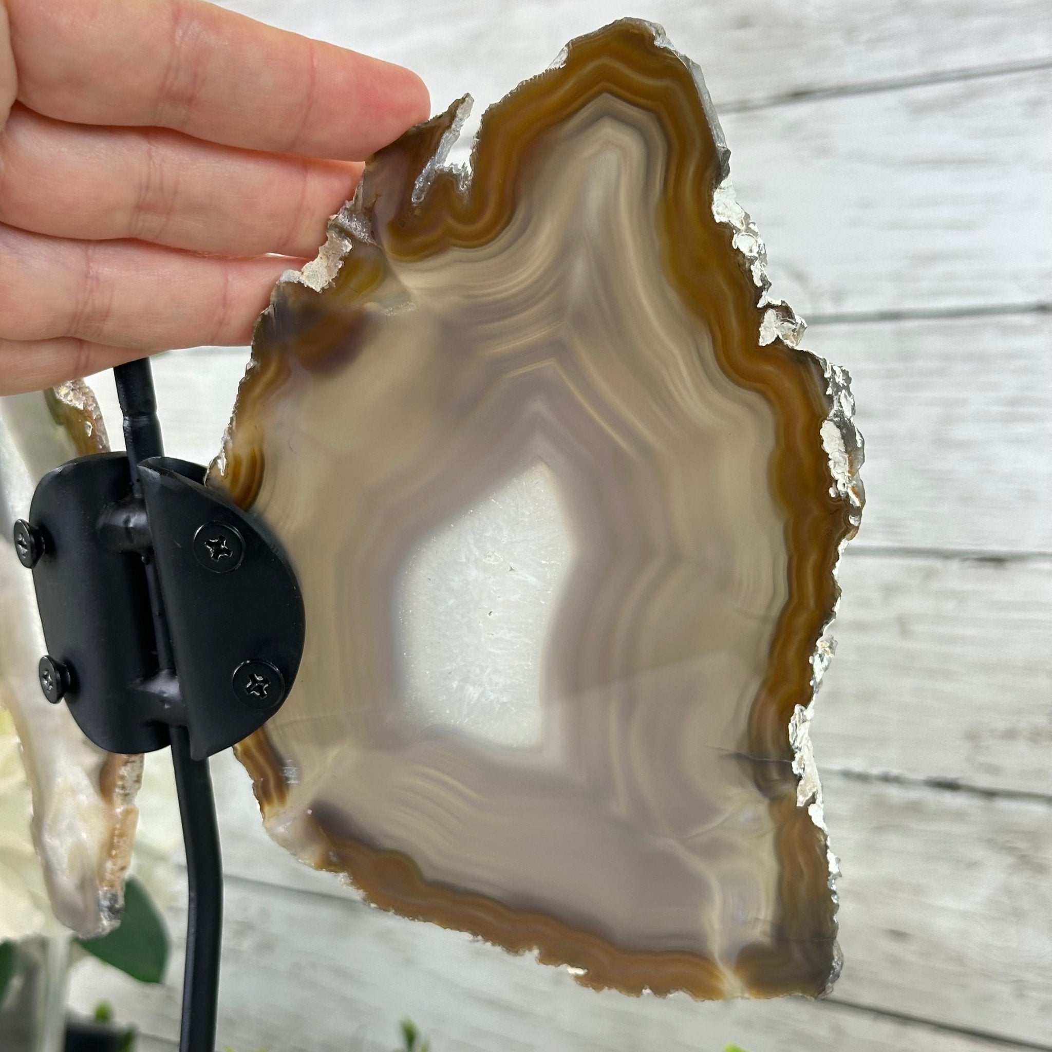 Natural Brazilian Agate "Butterfly Wings", Metal Stand, 10.1" Tall #5050NA-111 - Brazil GemsBrazil GemsNatural Brazilian Agate "Butterfly Wings", Metal Stand, 10.1" Tall #5050NA-111Agate Butterfly Wings5050NA-111