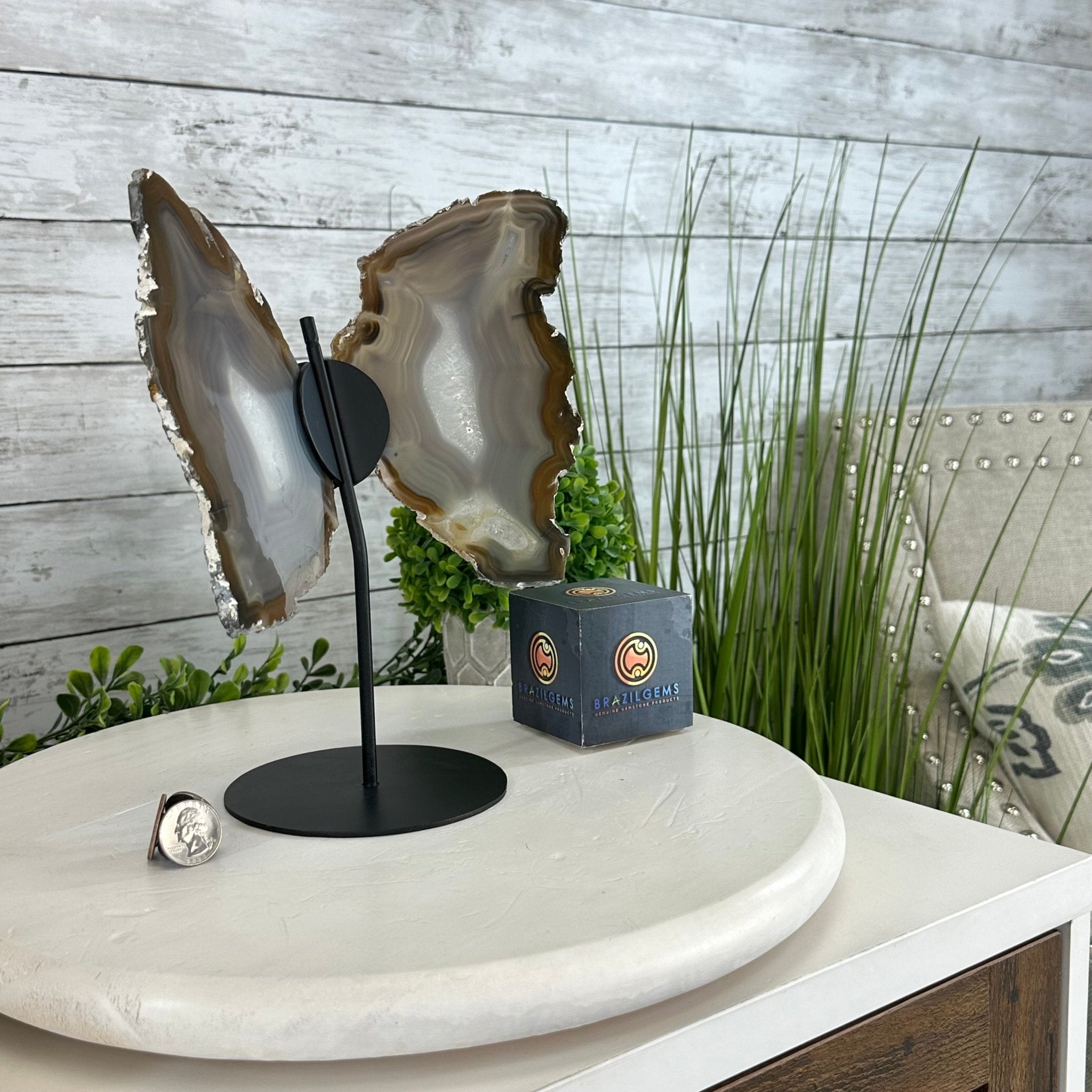 Natural Brazilian Agate "Butterfly Wings", Metal Stand, 10.1" Tall #5050NA-111 - Brazil GemsBrazil GemsNatural Brazilian Agate "Butterfly Wings", Metal Stand, 10.1" Tall #5050NA-111Agate Butterfly Wings5050NA-111