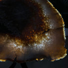 Natural Brazilian Agate Side Table on a black metal base, 21.5" Tall 1305 - 0173 - Brazil GemsBrazil GemsNatural Brazilian Agate Side Table on a black metal base, 21.5" Tall 1305 - 0173Tables: Side1305 - 0173