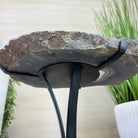 Natural Brazilian Agate Side Table on a black metal base, 21.7" Tall 1305 - 0185 - Brazil GemsBrazil GemsNatural Brazilian Agate Side Table on a black metal base, 21.7" Tall 1305 - 0185Tables: Side1305 - 0185