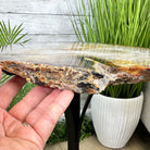 Natural Brazilian Agate Side Table on a black metal base, 22" tall #1305-0166 by Brazil Gems - Brazil GemsBrazil GemsNatural Brazilian Agate Side Table on a black metal base, 22" tall #1305-0166 by Brazil GemsTables: Side1305-0166