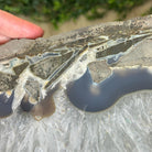 Natural Brazilian Agate Side Table on a black metal base, 22" Tall 1306 - 0046 - Brazil GemsBrazil GemsNatural Brazilian Agate Side Table on a black metal base, 22" Tall 1306 - 0046Tables: Side1306 - 0046