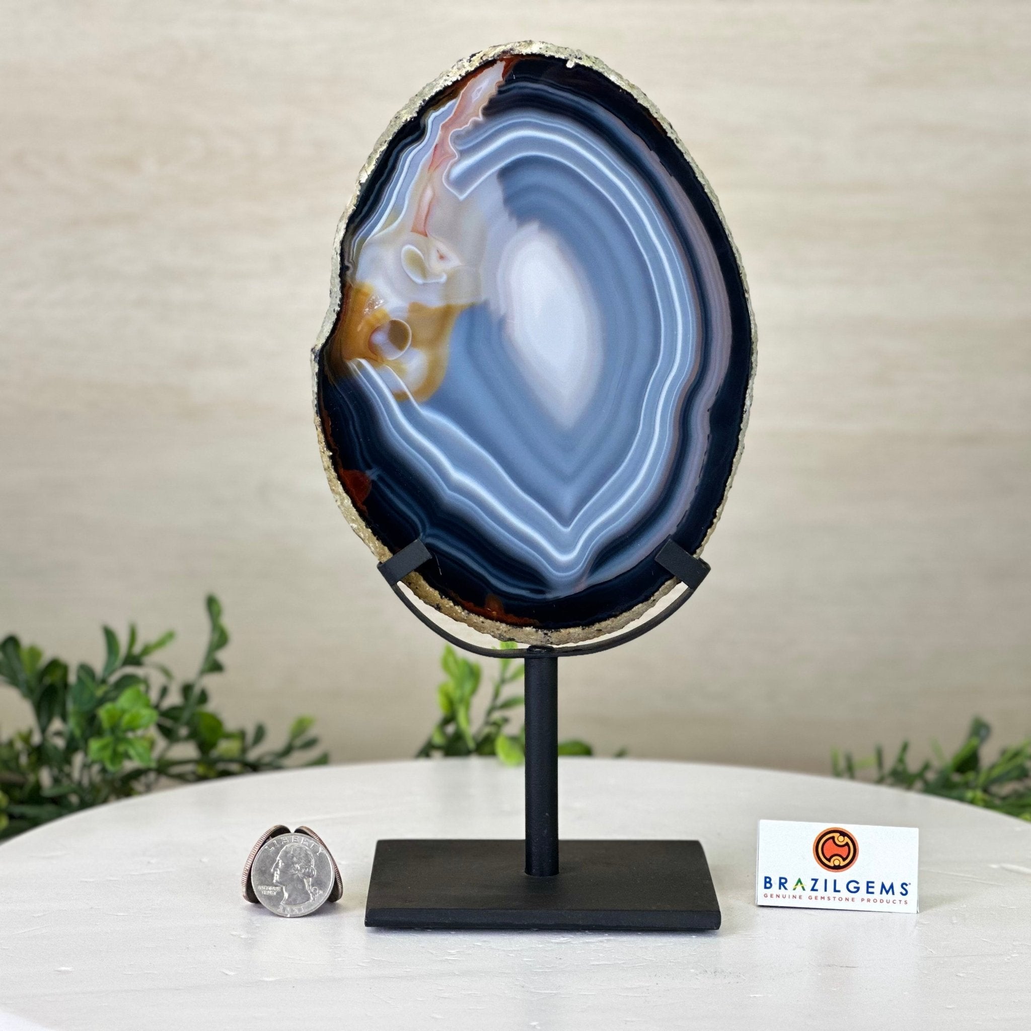 Natural Brazilian Agate Slice on a Metal Stand, 10.2" Tall #5067NA - 028 - Brazil GemsBrazil GemsNatural Brazilian Agate Slice on a Metal Stand, 10.2" Tall #5067NA - 028Slices on Fixed Bases5067NA - 028