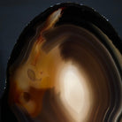 Natural Brazilian Agate Slice on a Metal Stand, 10.2" Tall #5067NA - 028 - Brazil GemsBrazil GemsNatural Brazilian Agate Slice on a Metal Stand, 10.2" Tall #5067NA - 028Slices on Fixed Bases5067NA - 028