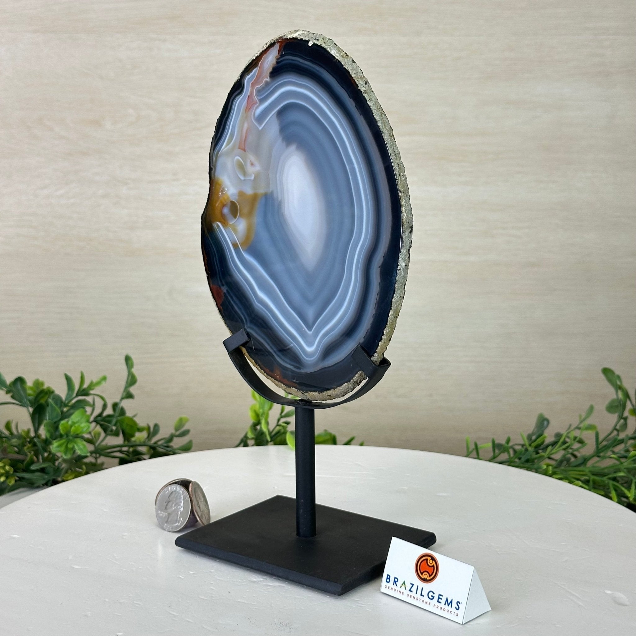 Natural Brazilian Agate Slice on a Metal Stand, 10.2" Tall #5067NA - 028 - Brazil GemsBrazil GemsNatural Brazilian Agate Slice on a Metal Stand, 10.2" Tall #5067NA - 028Slices on Fixed Bases5067NA - 028