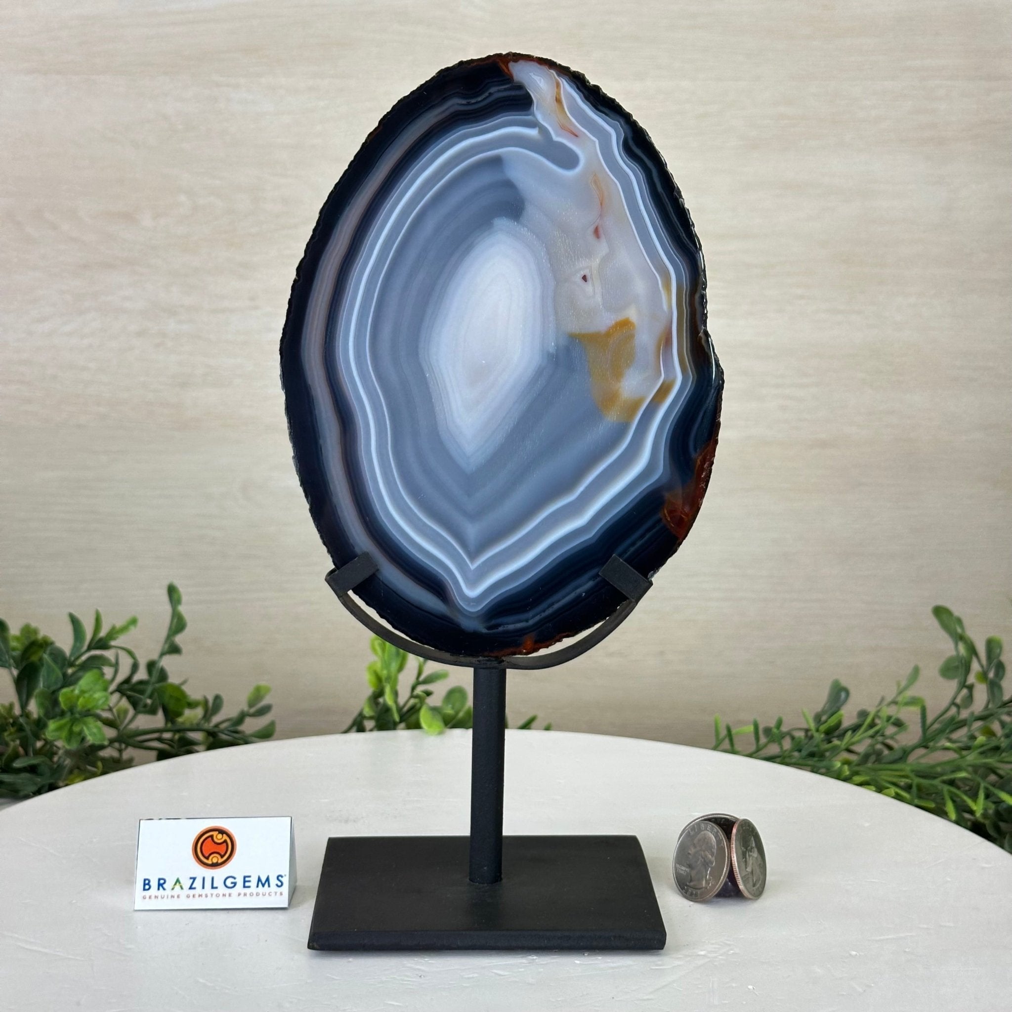 Natural Brazilian Agate Slice on a Metal Stand, 10.2" Tall #5067NA - 028 - Brazil GemsBrazil GemsNatural Brazilian Agate Slice on a Metal Stand, 10.2" Tall #5067NA - 028Slices on Fixed Bases5067NA - 028