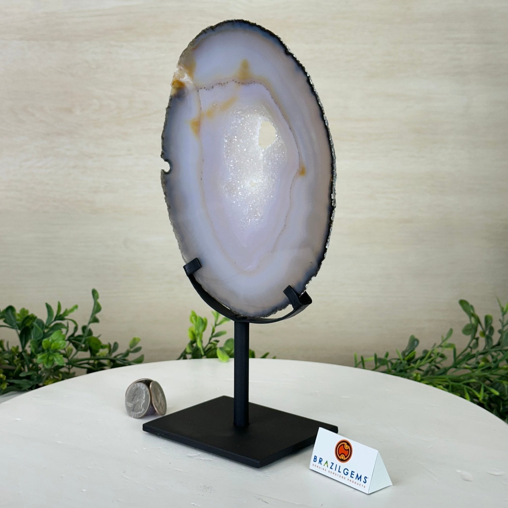 Natural Brazilian Agate Slice on a Metal Stand, 10.3" Tall #5067NA - 024 - Brazil GemsBrazil GemsNatural Brazilian Agate Slice on a Metal Stand, 10.3" Tall #5067NA - 024Slices on Fixed Bases5067NA - 024