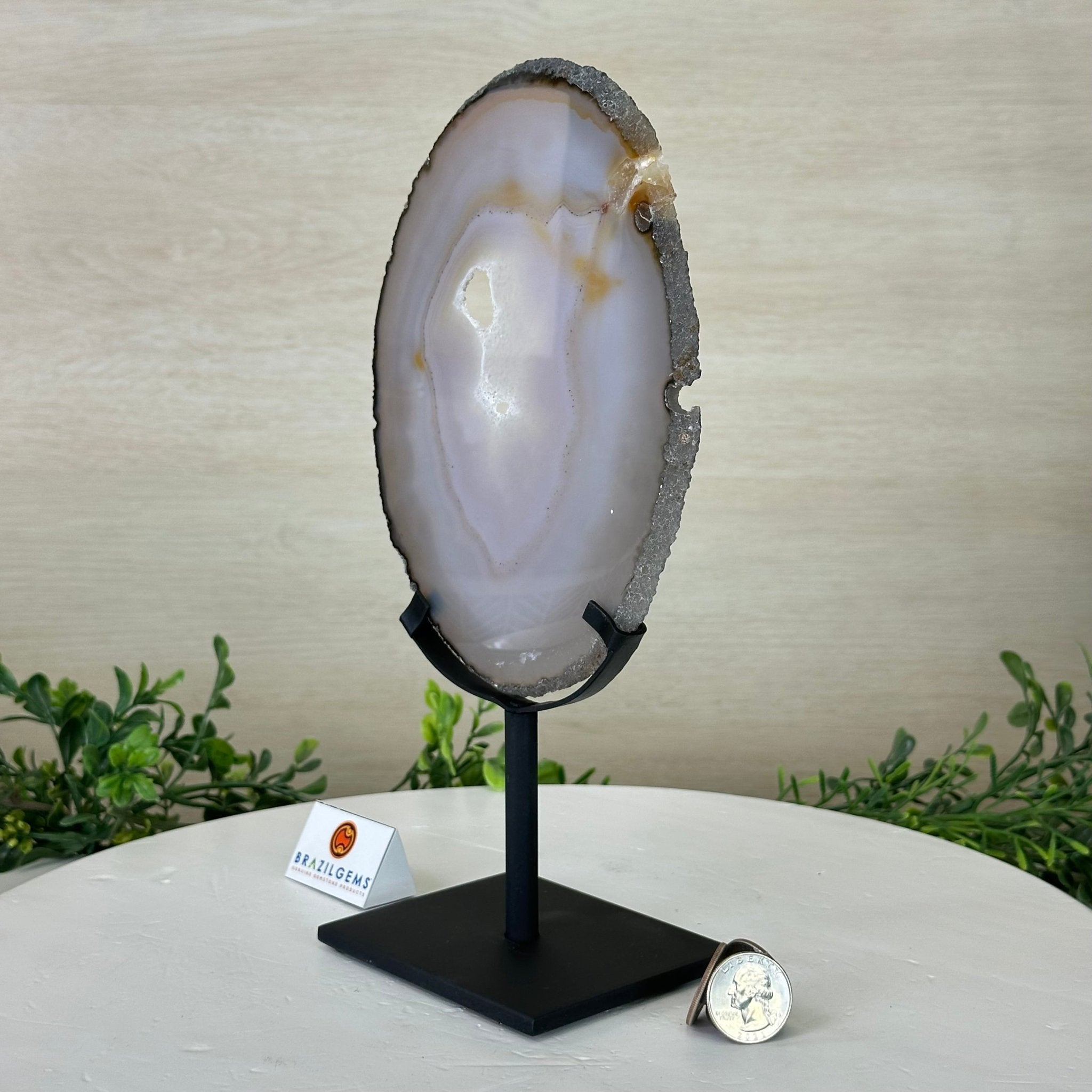 Natural Brazilian Agate Slice on a Metal Stand, 10.3" Tall #5067NA - 024 - Brazil GemsBrazil GemsNatural Brazilian Agate Slice on a Metal Stand, 10.3" Tall #5067NA - 024Slices on Fixed Bases5067NA - 024