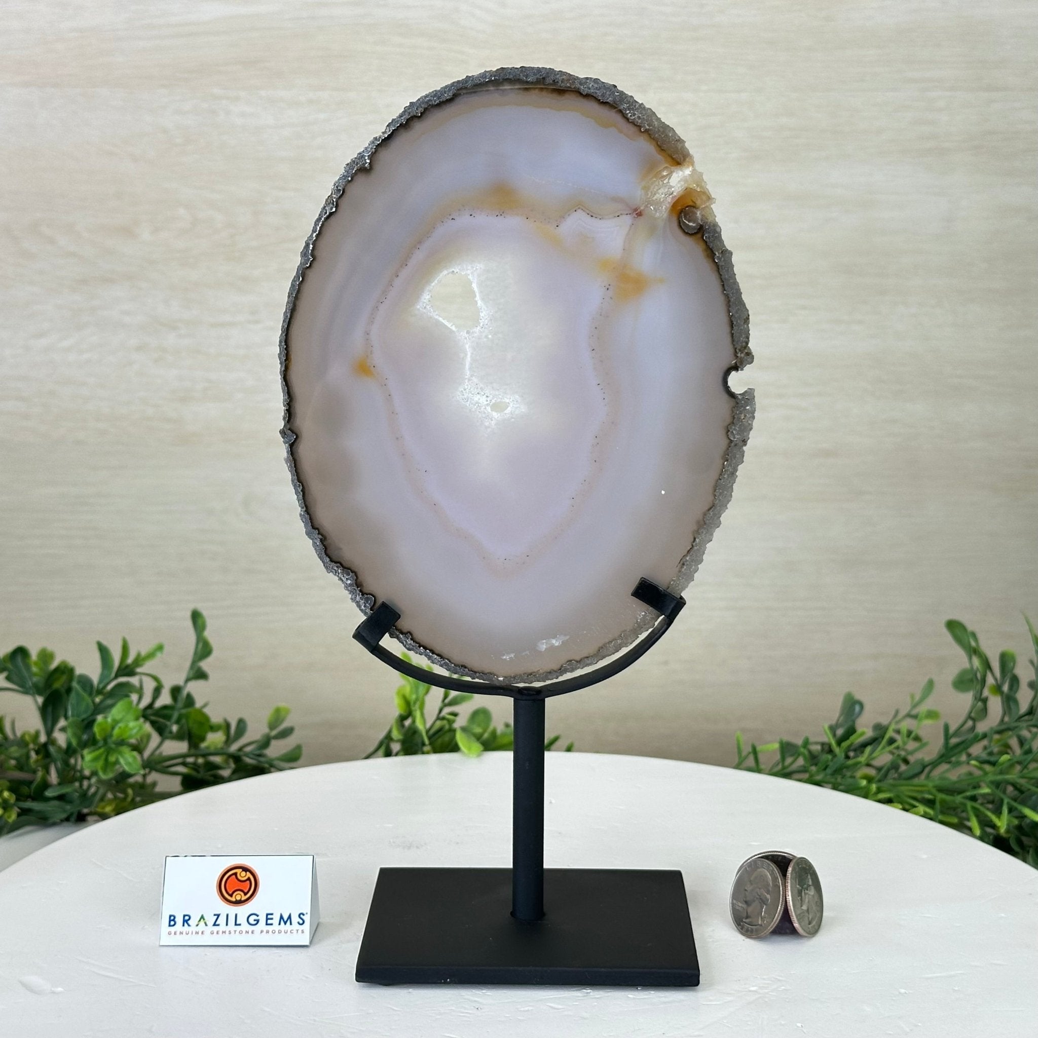 Natural Brazilian Agate Slice on a Metal Stand, 10.3" Tall #5067NA - 024 - Brazil GemsBrazil GemsNatural Brazilian Agate Slice on a Metal Stand, 10.3" Tall #5067NA - 024Slices on Fixed Bases5067NA - 024