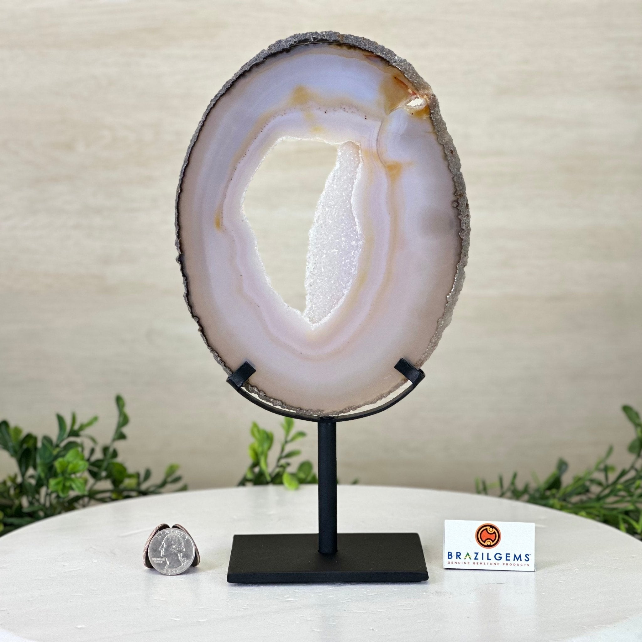 Natural Brazilian Agate Slice on a Metal Stand, 11" Tall #5067NA - 029 - Brazil GemsBrazil GemsNatural Brazilian Agate Slice on a Metal Stand, 11" Tall #5067NA - 029Slices on Fixed Bases5067NA - 029