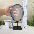 Natural Brazilian Agate Slice on a Metal Stand, 11" Tall #5067NA - 029 - Brazil GemsBrazil GemsNatural Brazilian Agate Slice on a Metal Stand, 11" Tall #5067NA - 029Slices on Fixed Bases5067NA - 029