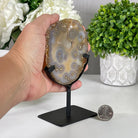 Natural Brazilian Agate Slice on a Metal Stand, 6" Tall #5067NA - 005 - Brazil GemsBrazil GemsNatural Brazilian Agate Slice on a Metal Stand, 6" Tall #5067NA - 005Slices on Fixed Bases5067NA - 005