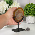 Natural Brazilian Agate Slice on a Metal Stand, 6" Tall #5067NA - 008 - Brazil GemsBrazil GemsNatural Brazilian Agate Slice on a Metal Stand, 6" Tall #5067NA - 008Slices on Fixed Bases5067NA - 008