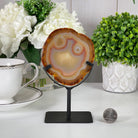 Natural Brazilian Agate Slice on a Metal Stand, 6" Tall #5067NA - 008 - Brazil GemsBrazil GemsNatural Brazilian Agate Slice on a Metal Stand, 6" Tall #5067NA - 008Slices on Fixed Bases5067NA - 008