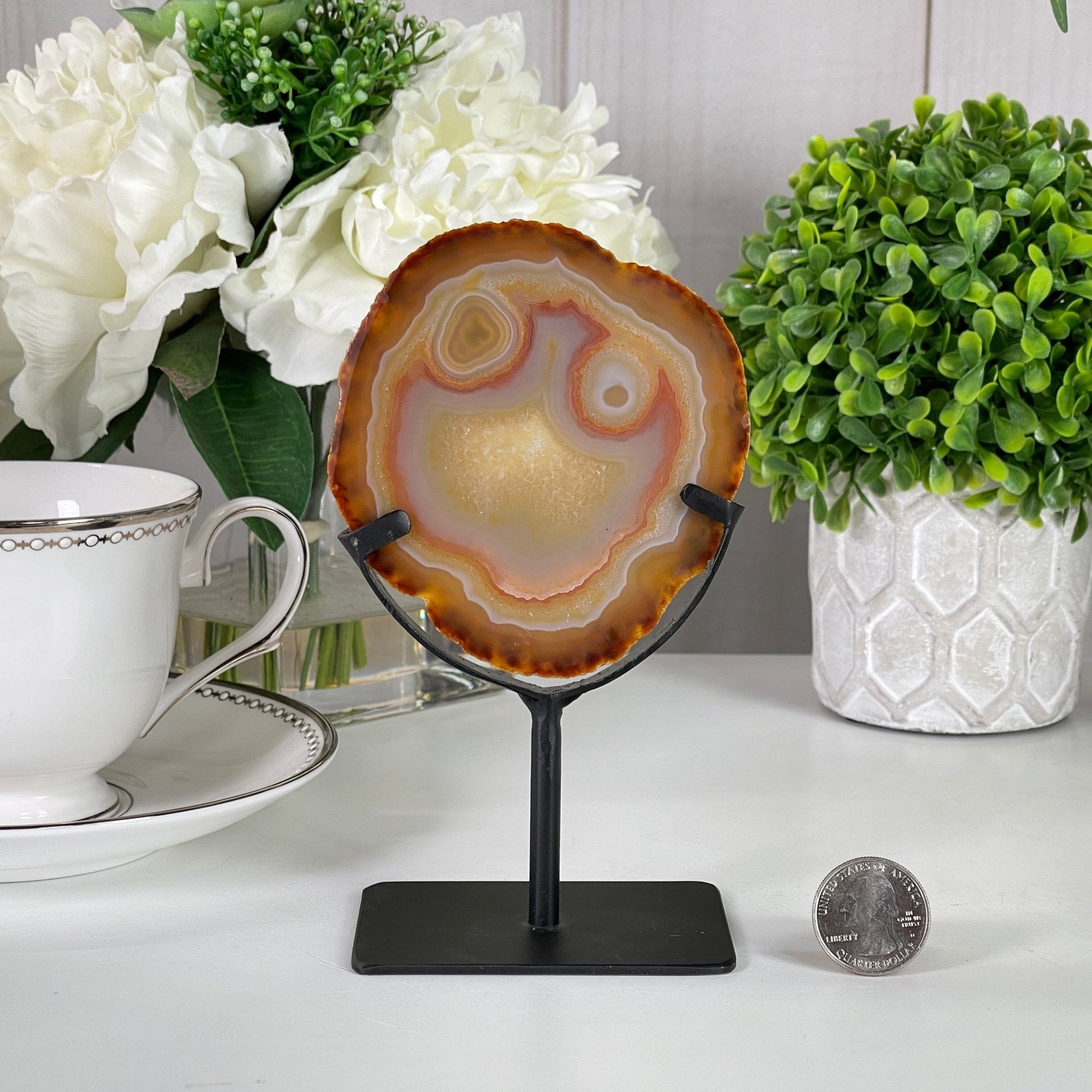 Natural Brazilian Agate Slice on a Metal Stand, 6" Tall #5067NA - 008 - Brazil GemsBrazil GemsNatural Brazilian Agate Slice on a Metal Stand, 6" Tall #5067NA - 008Slices on Fixed Bases5067NA - 008