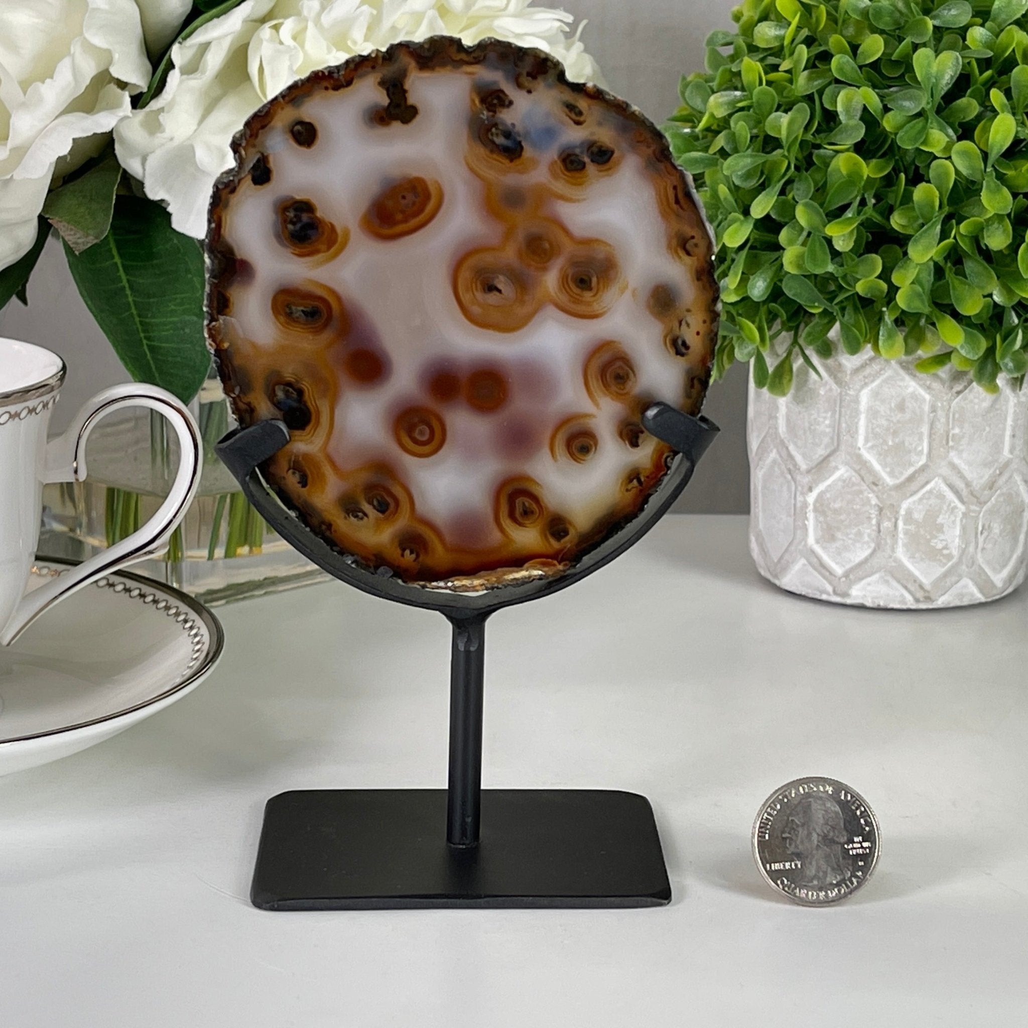 Natural Brazilian Agate Slice on a Metal Stand, 6.3" Tall #5067NA - 001 - Brazil GemsBrazil GemsNatural Brazilian Agate Slice on a Metal Stand, 6.3" Tall #5067NA - 001Slices on Fixed Bases5067NA - 001