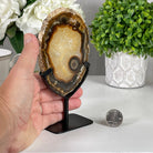 Natural Brazilian Agate Slice on a Metal Stand, 6.4" Tall #5067NA - 003 - Brazil GemsBrazil GemsNatural Brazilian Agate Slice on a Metal Stand, 6.4" Tall #5067NA - 003Slices on Fixed Bases5067NA - 003