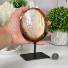 Natural Brazilian Agate Slice on a Metal Stand, 6.8" Tall #5067NA - 014 - Brazil GemsBrazil GemsNatural Brazilian Agate Slice on a Metal Stand, 6.8" Tall #5067NA - 014Slices on Fixed Bases5067NA - 014