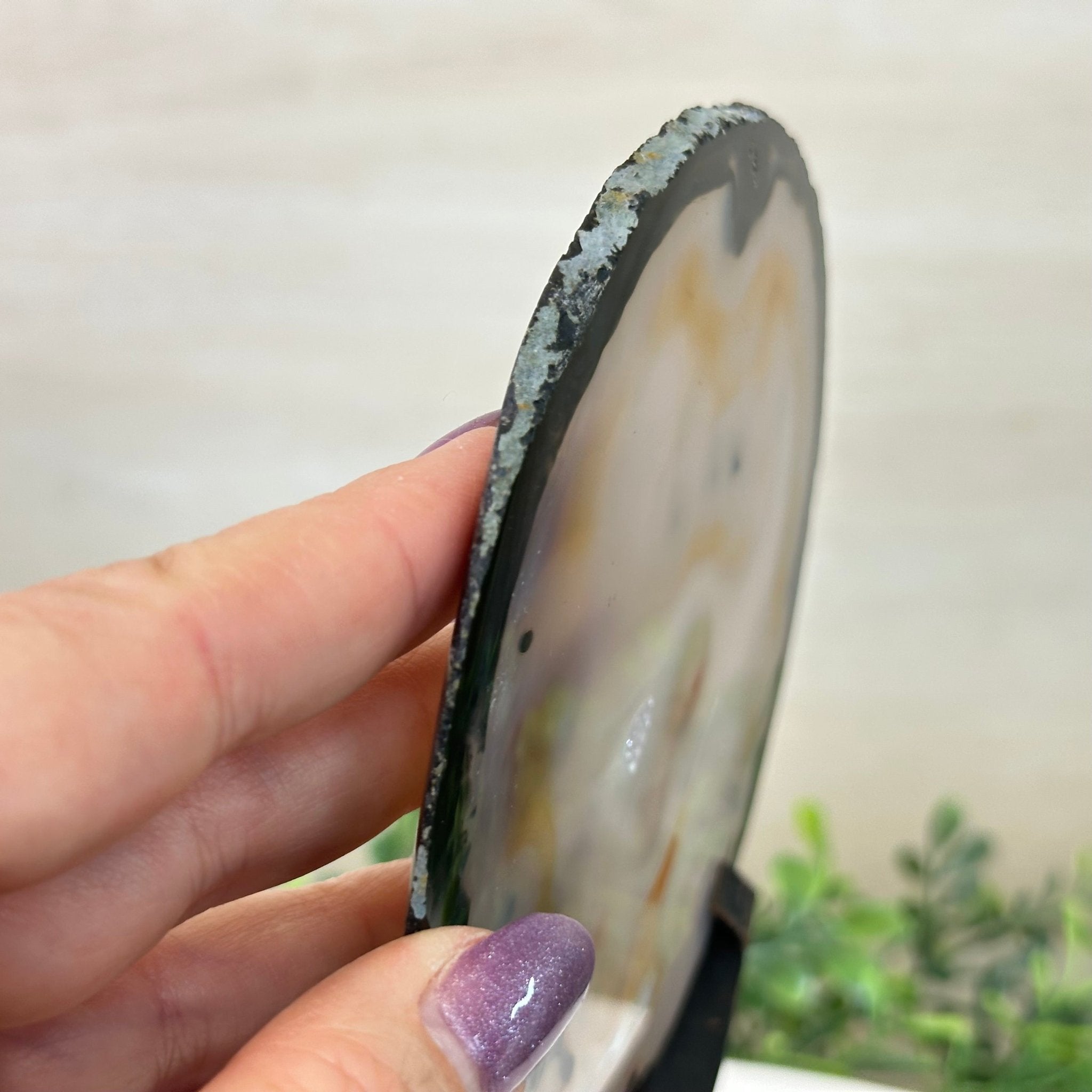 Natural Brazilian Agate Slice on a Metal Stand, 8.5" Tall #5067NA - 018 - Brazil GemsBrazil GemsNatural Brazilian Agate Slice on a Metal Stand, 8.5" Tall #5067NA - 018Slices on Fixed Bases5067NA - 018