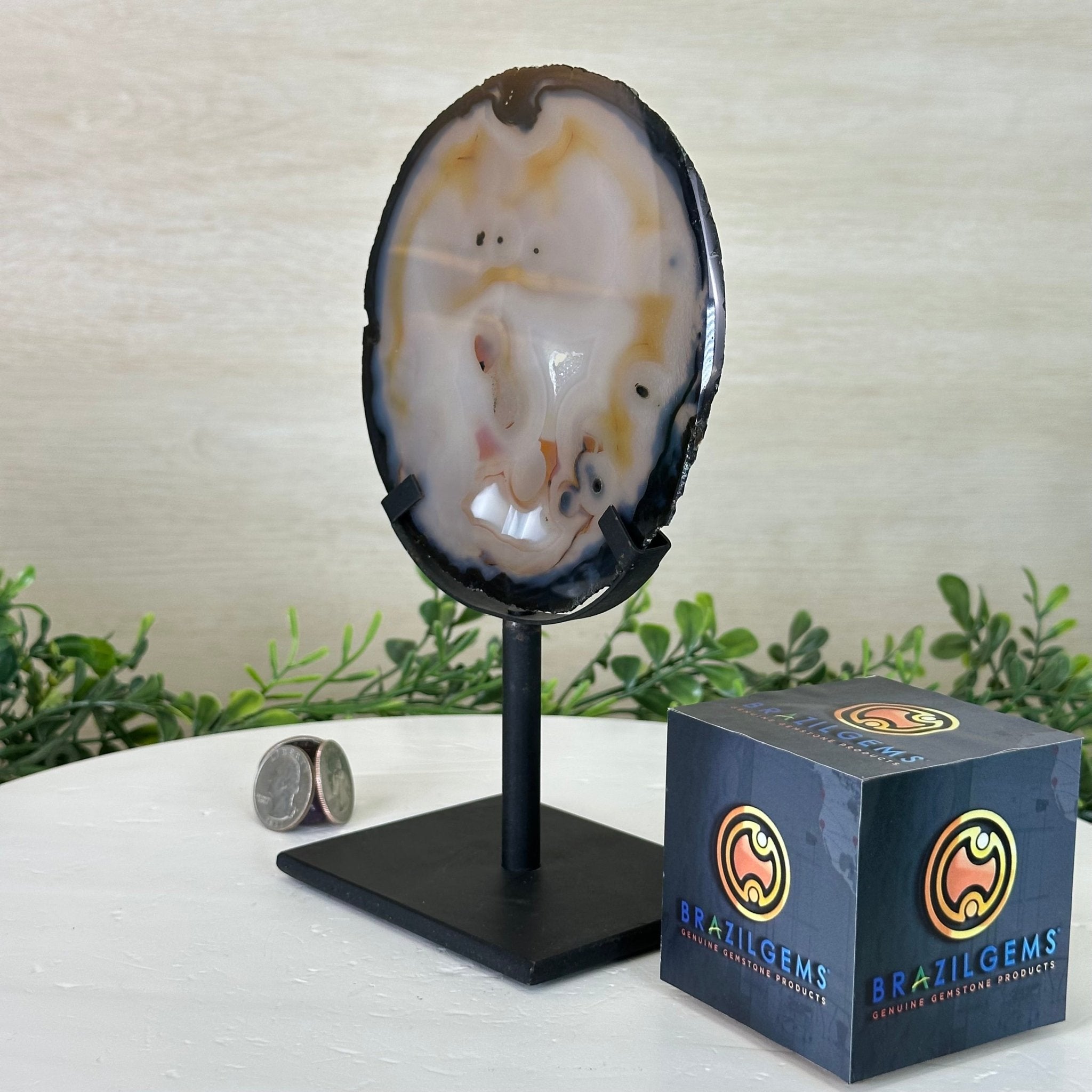 Natural Brazilian Agate Slice on a Metal Stand, 8.5" Tall #5067NA - 018 - Brazil GemsBrazil GemsNatural Brazilian Agate Slice on a Metal Stand, 8.5" Tall #5067NA - 018Slices on Fixed Bases5067NA - 018