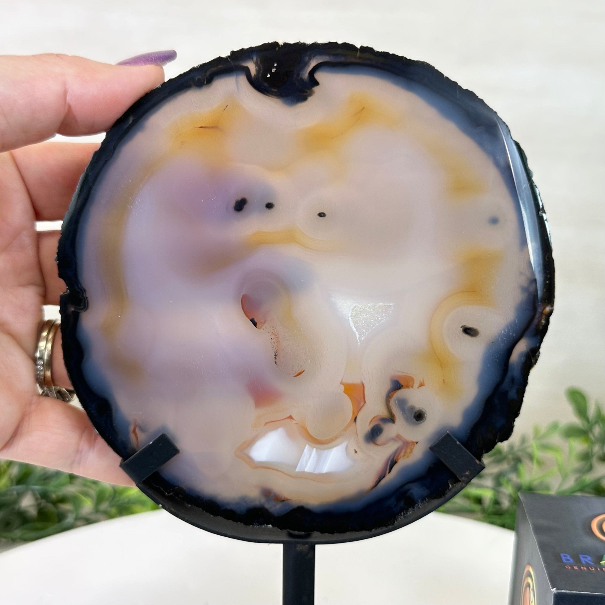 Natural Brazilian Agate Slice on a Metal Stand, 8.5" Tall #5067NA - 018 - Brazil GemsBrazil GemsNatural Brazilian Agate Slice on a Metal Stand, 8.5" Tall #5067NA - 018Slices on Fixed Bases5067NA - 018