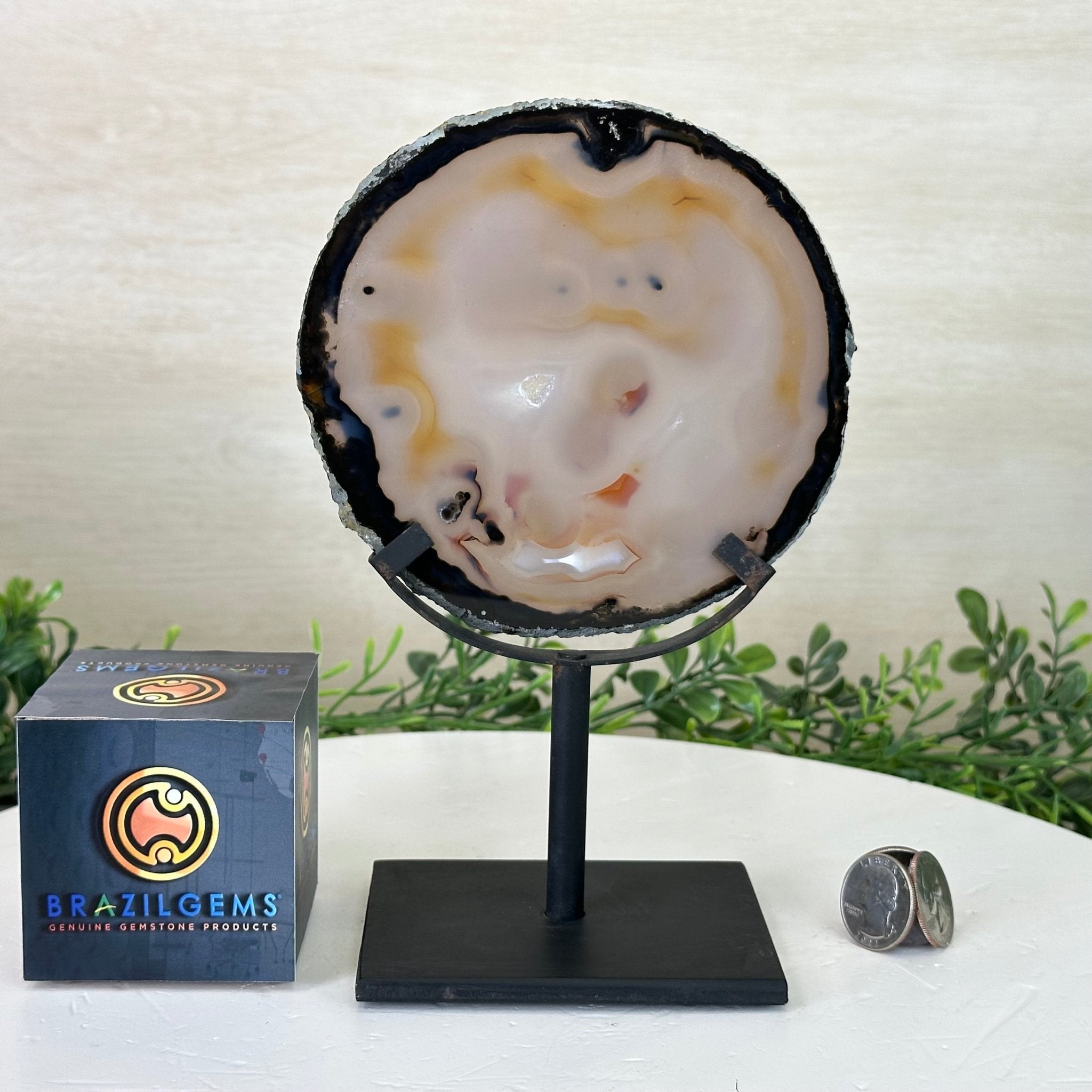 Natural Brazilian Agate Slice on a Metal Stand, 8.5" Tall #5067NA - 018 - Brazil GemsBrazil GemsNatural Brazilian Agate Slice on a Metal Stand, 8.5" Tall #5067NA - 018Slices on Fixed Bases5067NA - 018