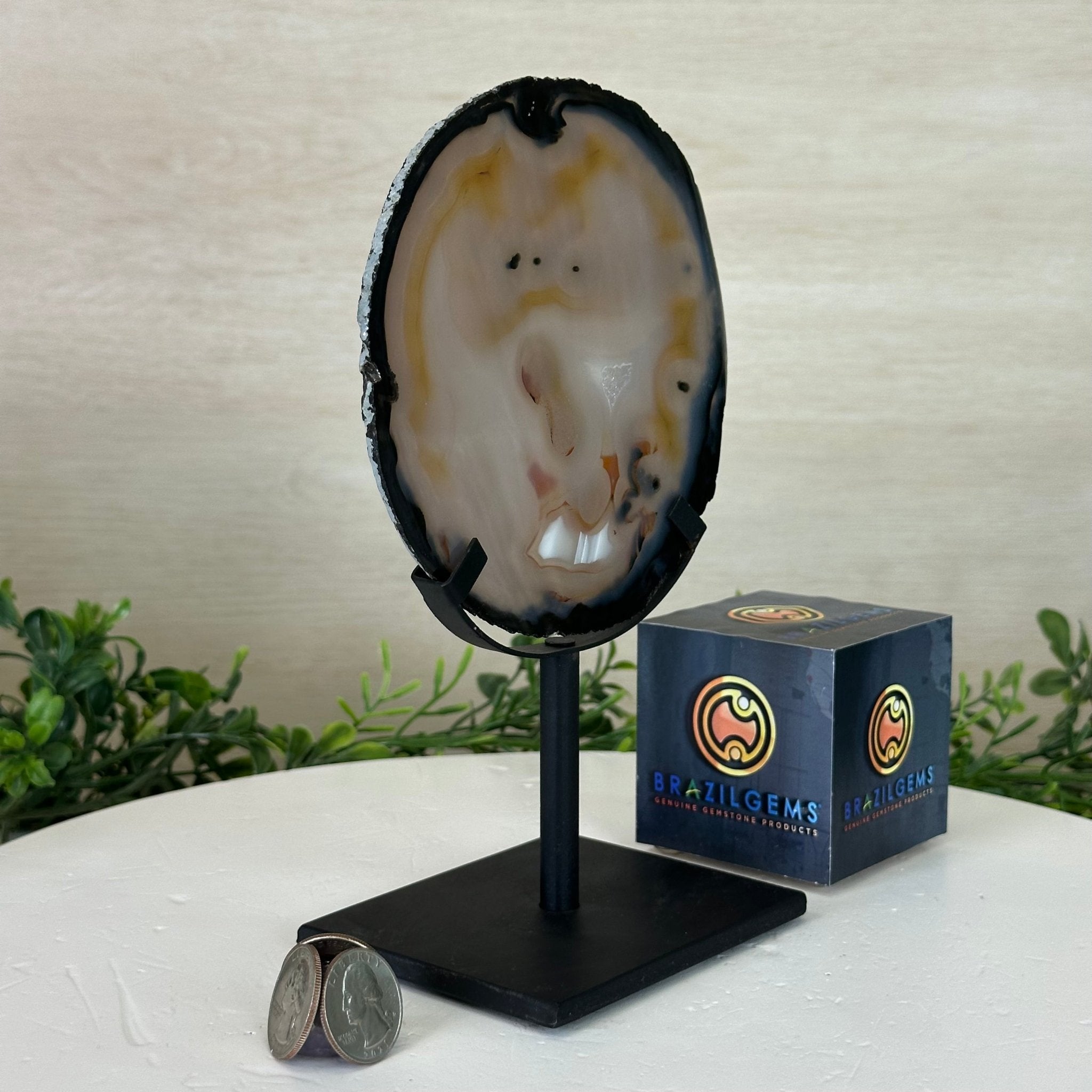 Natural Brazilian Agate Slice on a Metal Stand, 8.5" Tall #5067NA - 018 - Brazil GemsBrazil GemsNatural Brazilian Agate Slice on a Metal Stand, 8.5" Tall #5067NA - 018Slices on Fixed Bases5067NA - 018