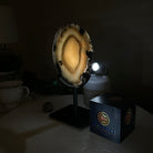 Natural Brazilian Agate Slice on a Metal Stand, 8.5" Tall #5067NA - 023 - Brazil GemsBrazil GemsNatural Brazilian Agate Slice on a Metal Stand, 8.5" Tall #5067NA - 023Slices on Fixed Bases5067NA - 023