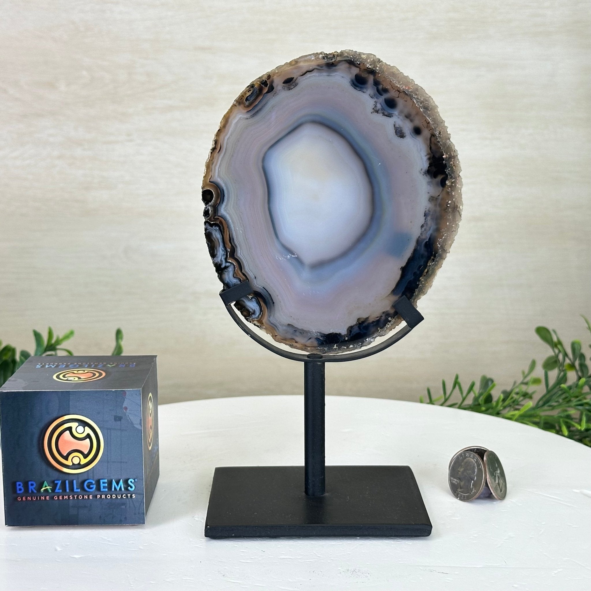 Natural Brazilian Agate Slice on a Metal Stand, 8.5" Tall #5067NA - 023 - Brazil GemsBrazil GemsNatural Brazilian Agate Slice on a Metal Stand, 8.5" Tall #5067NA - 023Slices on Fixed Bases5067NA - 023