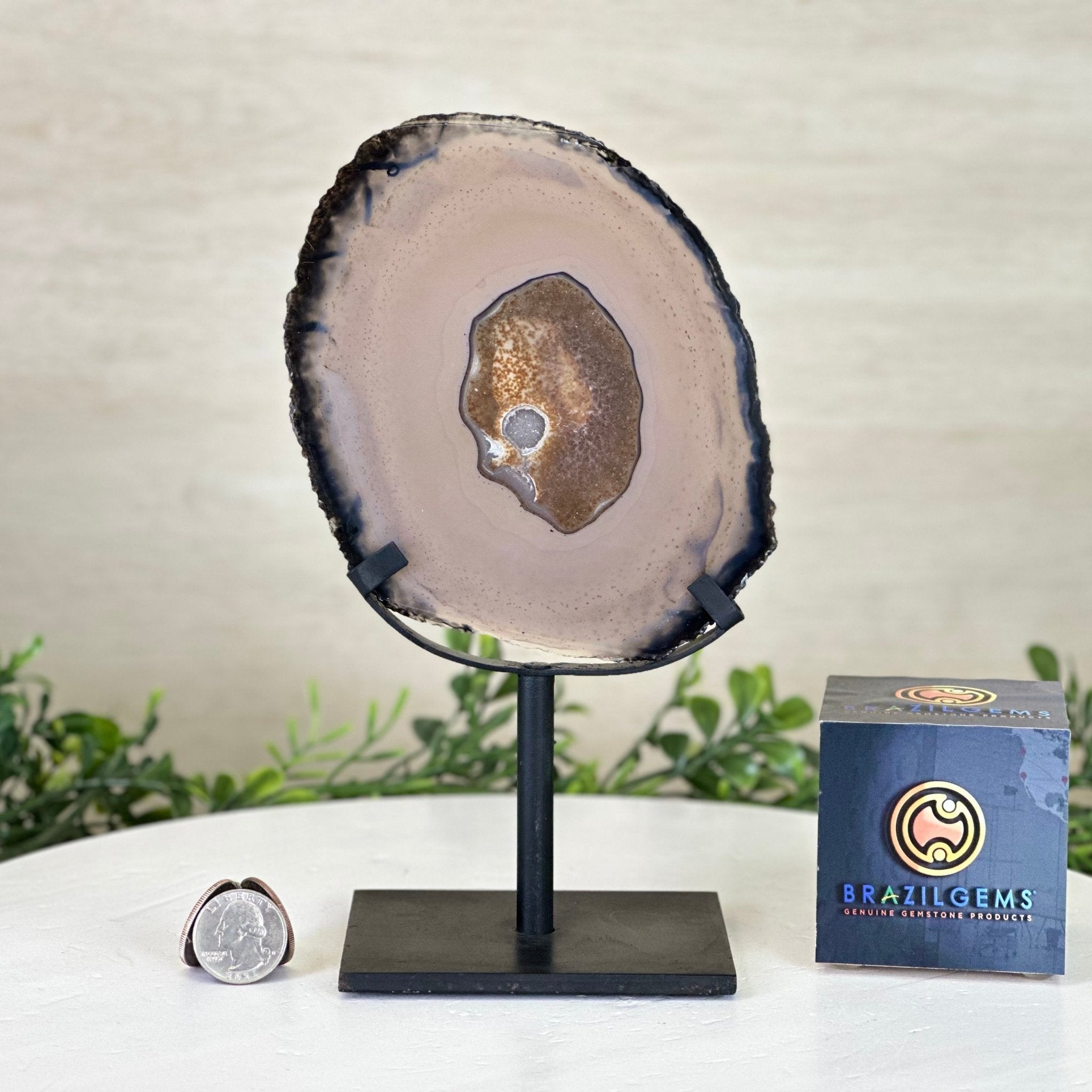 Natural Brazilian Agate Slice on a Metal Stand, 9" Tall #5067NA - 016 - Brazil GemsBrazil GemsNatural Brazilian Agate Slice on a Metal Stand, 9" Tall #5067NA - 016Slices on Fixed Bases5067NA - 016