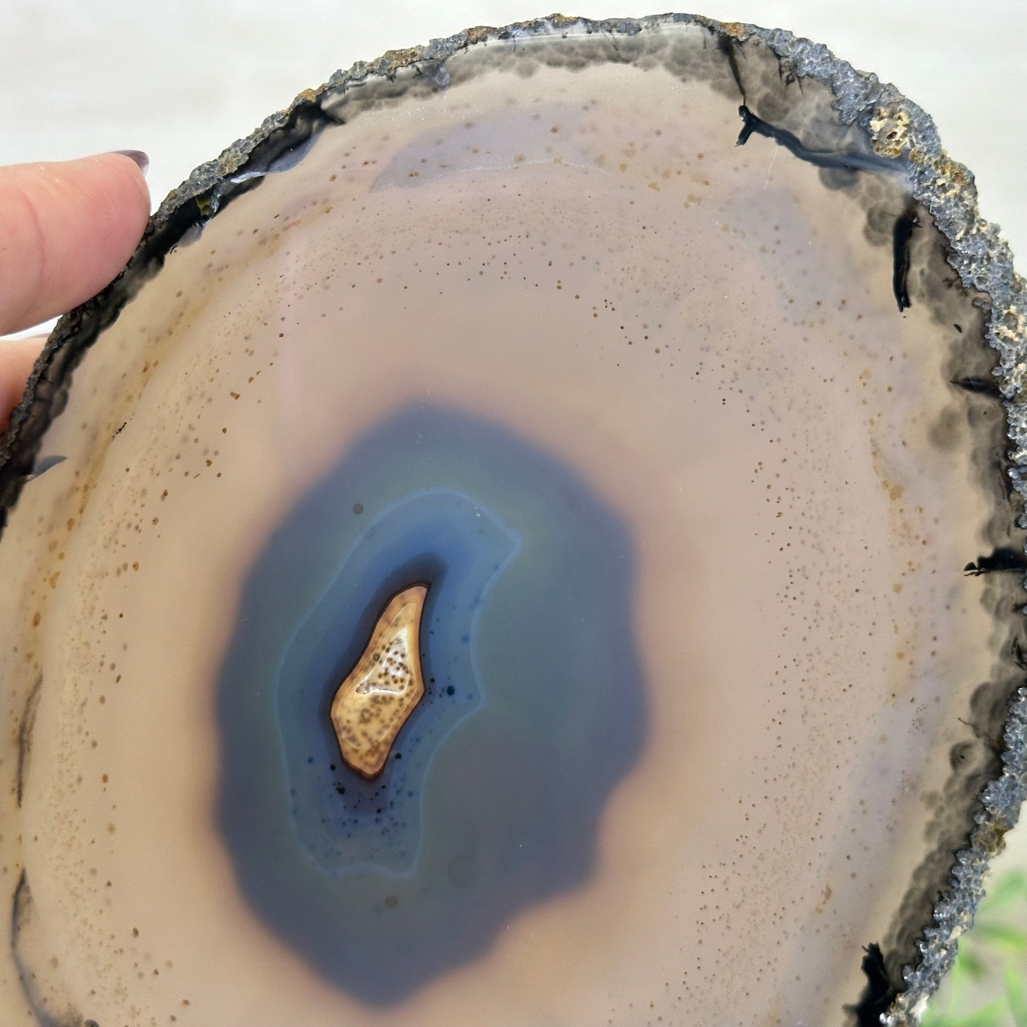 Natural Brazilian Agate Slice on a Metal Stand, 9" Tall #5067NA - 016 - Brazil GemsBrazil GemsNatural Brazilian Agate Slice on a Metal Stand, 9" Tall #5067NA - 016Slices on Fixed Bases5067NA - 016