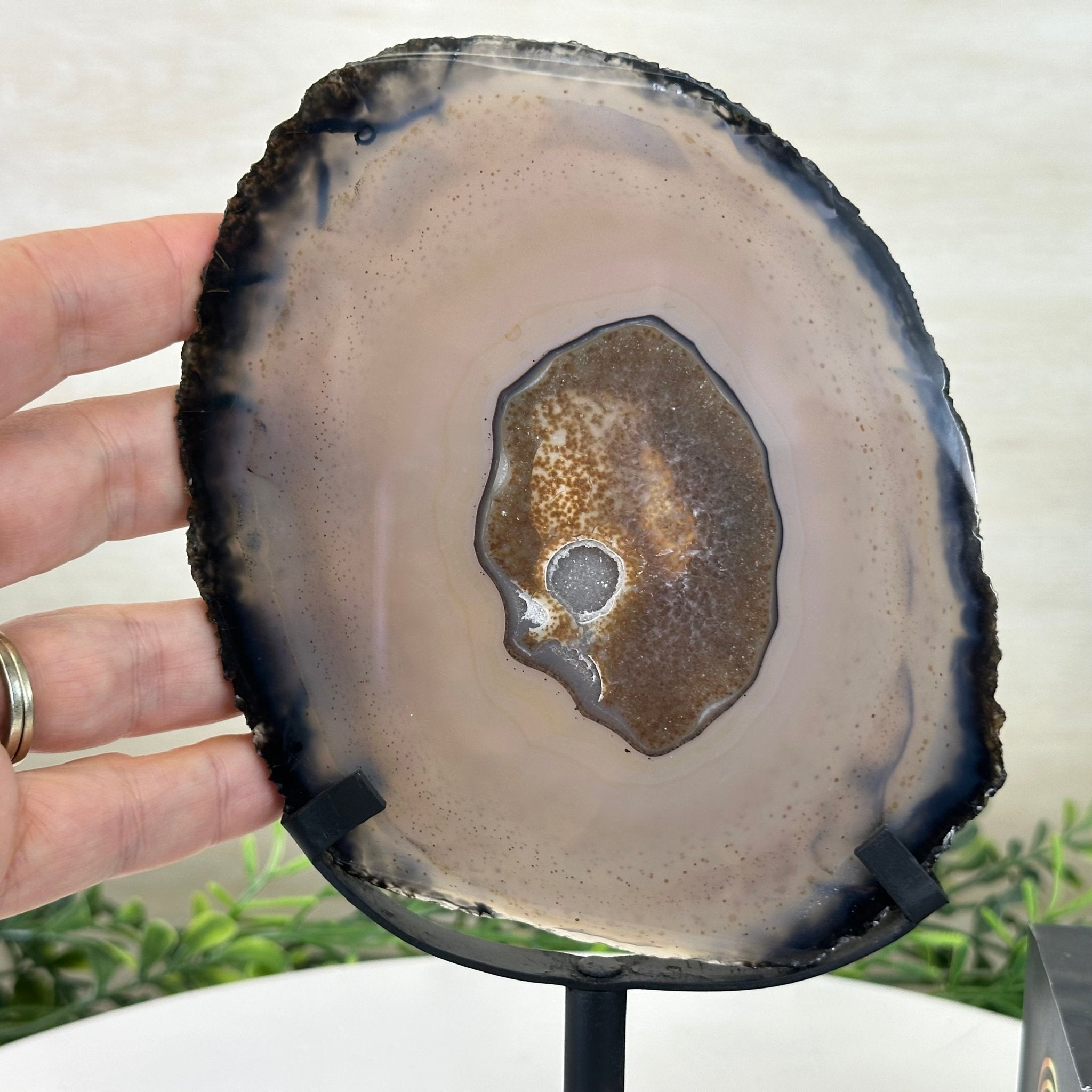 Natural Brazilian Agate Slice on a Metal Stand, 9" Tall #5067NA - 016 - Brazil GemsBrazil GemsNatural Brazilian Agate Slice on a Metal Stand, 9" Tall #5067NA - 016Slices on Fixed Bases5067NA - 016