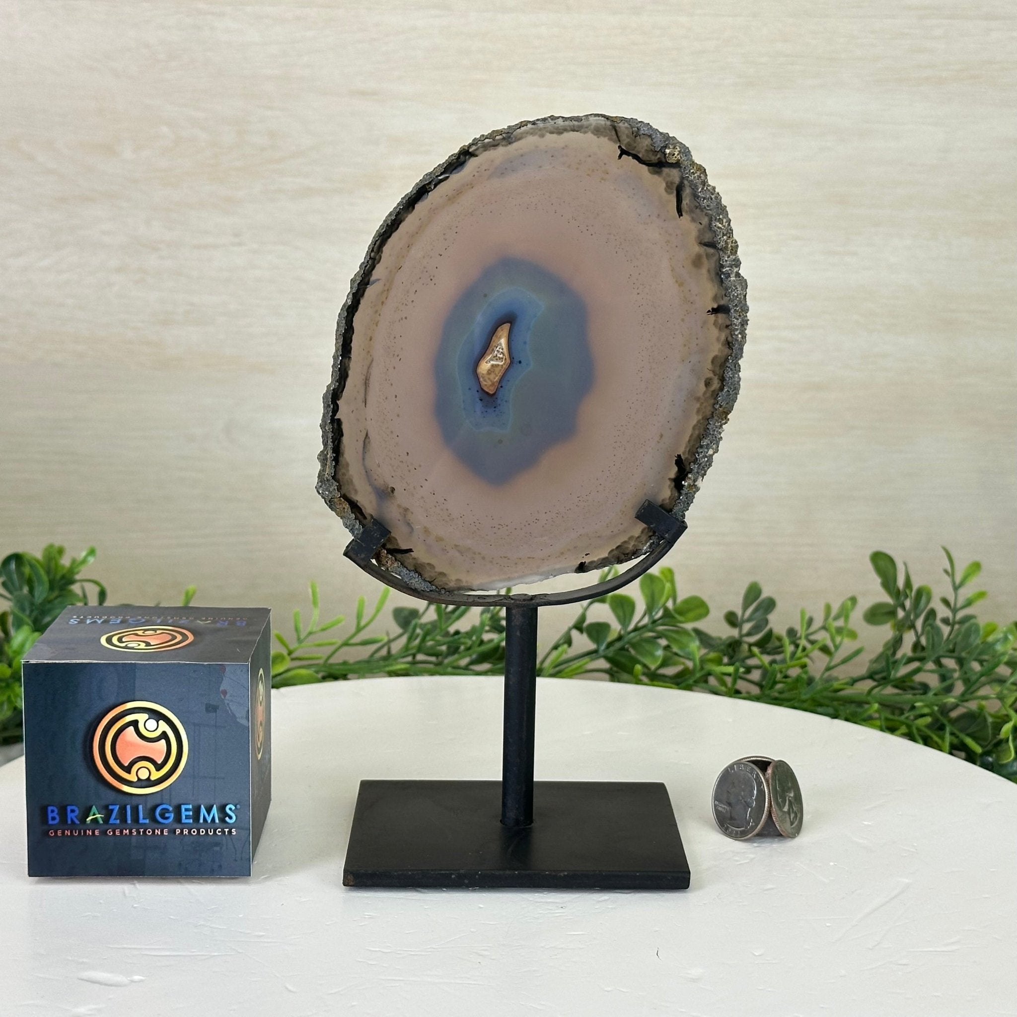 Natural Brazilian Agate Slice on a Metal Stand, 9" Tall #5067NA - 016 - Brazil GemsBrazil GemsNatural Brazilian Agate Slice on a Metal Stand, 9" Tall #5067NA - 016Slices on Fixed Bases5067NA - 016