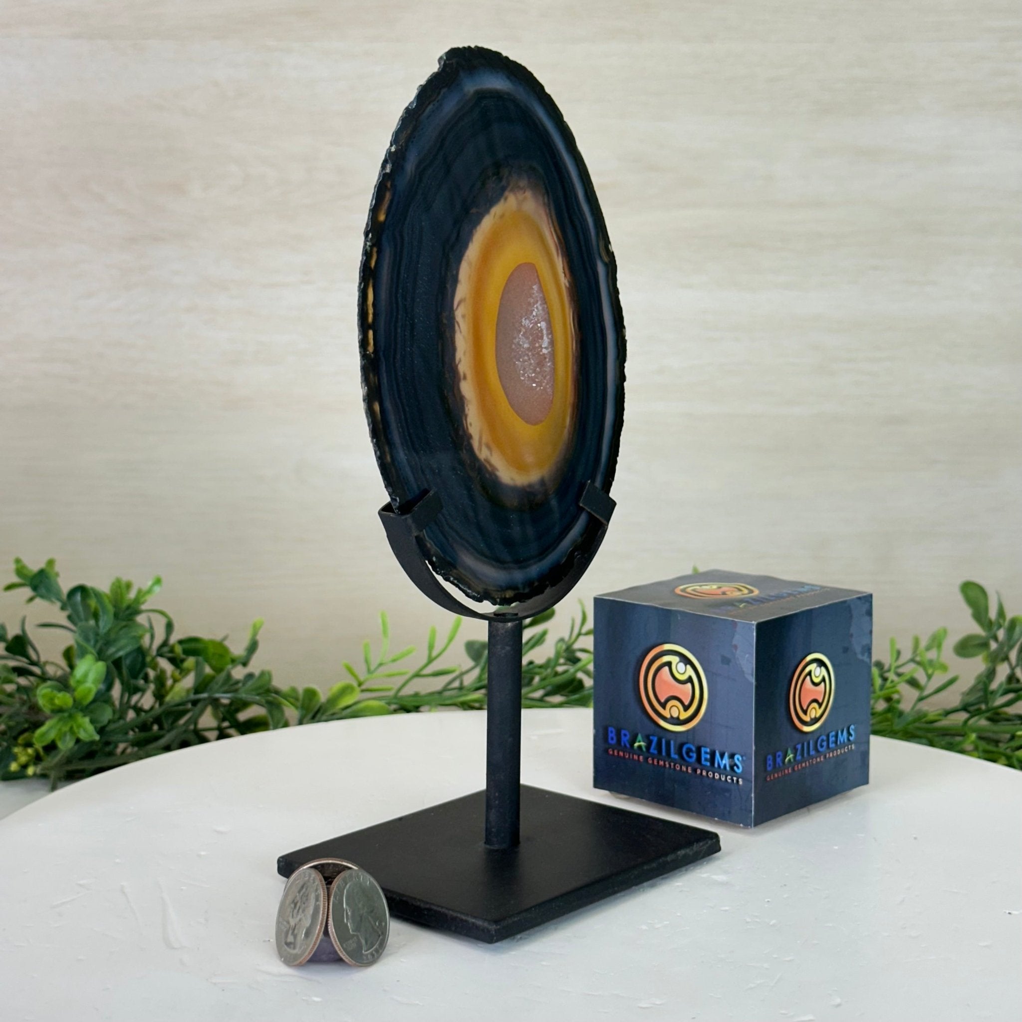 Natural Brazilian Agate Slice on a Metal Stand, 9.25" Tall #5067NA - 019 - Brazil GemsBrazil GemsNatural Brazilian Agate Slice on a Metal Stand, 9.25" Tall #5067NA - 019Slices on Fixed Bases5067NA - 019