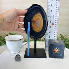 Natural Brazilian Agate Slice on a Metal Stand, 9.25" Tall #5067NA - 019 - Brazil GemsBrazil GemsNatural Brazilian Agate Slice on a Metal Stand, 9.25" Tall #5067NA - 019Slices on Fixed Bases5067NA - 019