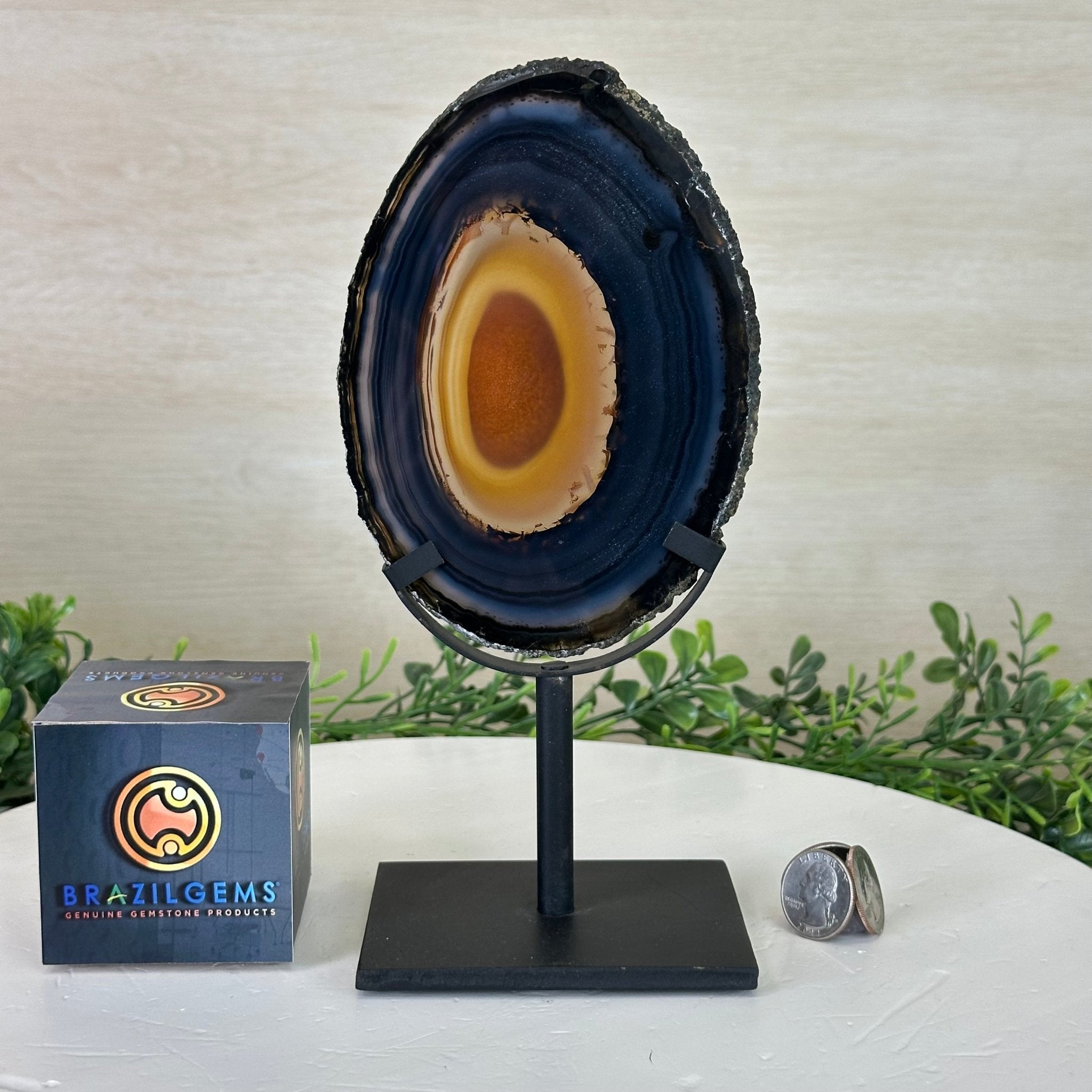 Natural Brazilian Agate Slice on a Metal Stand, 9.25" Tall #5067NA - 019 - Brazil GemsBrazil GemsNatural Brazilian Agate Slice on a Metal Stand, 9.25" Tall #5067NA - 019Slices on Fixed Bases5067NA - 019