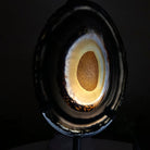 Natural Brazilian Agate Slice on a Metal Stand, 9.25" Tall #5067NA - 019 - Brazil GemsBrazil GemsNatural Brazilian Agate Slice on a Metal Stand, 9.25" Tall #5067NA - 019Slices on Fixed Bases5067NA - 019