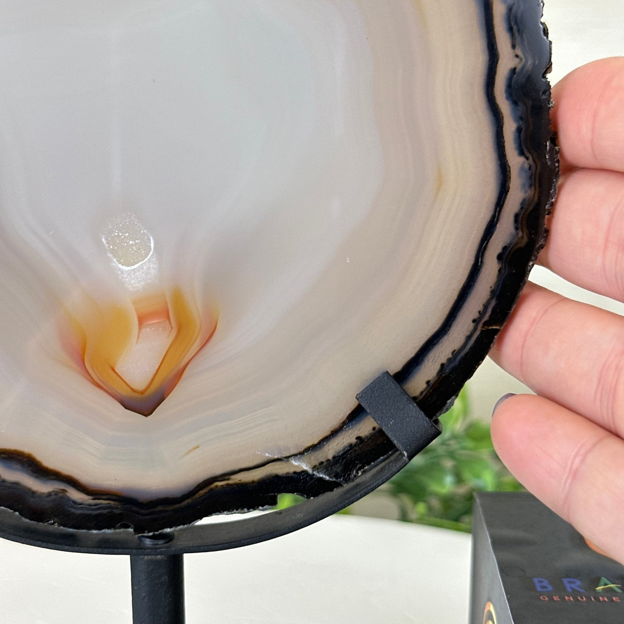 Natural Brazilian Agate Slice on a Metal Stand, 9.25" Tall #5067NA - 021 - Brazil GemsBrazil GemsNatural Brazilian Agate Slice on a Metal Stand, 9.25" Tall #5067NA - 021Slices on Fixed Bases5067NA - 021