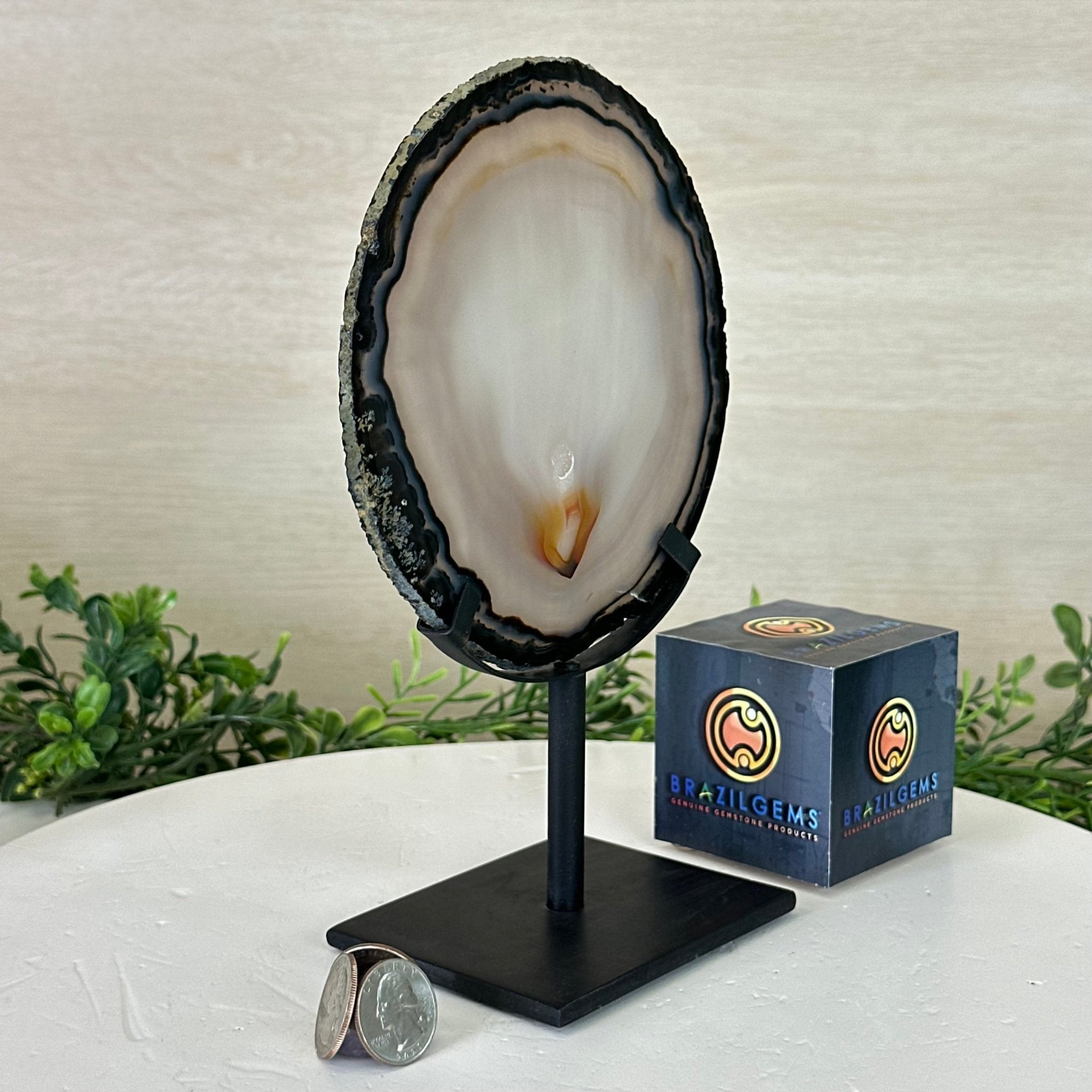 Natural Brazilian Agate Slice on a Metal Stand, 9.25" Tall #5067NA - 021 - Brazil GemsBrazil GemsNatural Brazilian Agate Slice on a Metal Stand, 9.25" Tall #5067NA - 021Slices on Fixed Bases5067NA - 021