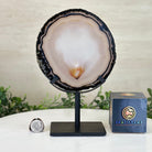 Natural Brazilian Agate Slice on a Metal Stand, 9.25" Tall #5067NA - 021 - Brazil GemsBrazil GemsNatural Brazilian Agate Slice on a Metal Stand, 9.25" Tall #5067NA - 021Slices on Fixed Bases5067NA - 021